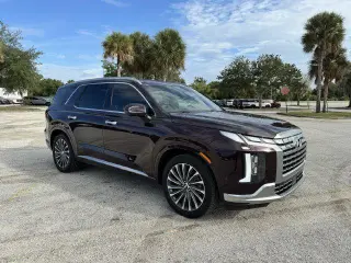 Hyundai PALISADE 2024 Calligraphy 4dr SUV