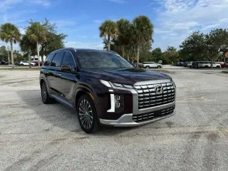 Hyundai PALISADE 2024 Calligraphy 4dr SUV