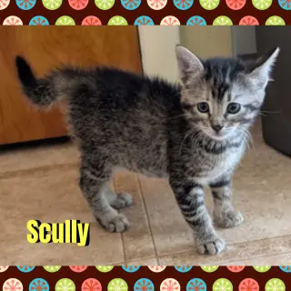 Scully