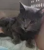 MADRE
