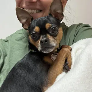 Loki