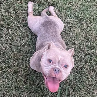 Molly