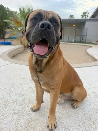 Bruce 2