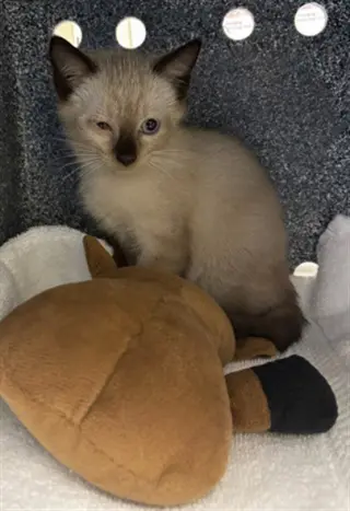BOO