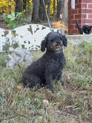 Betty