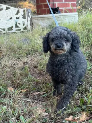 Betty