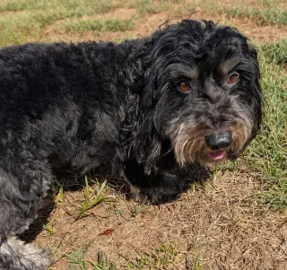 Otto in TN
