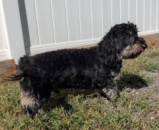 Otto in TN