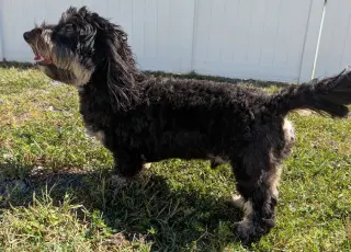 Otto in TN