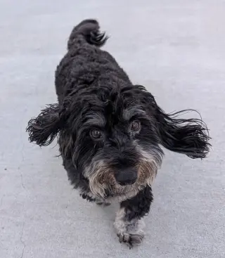 Otto in TN