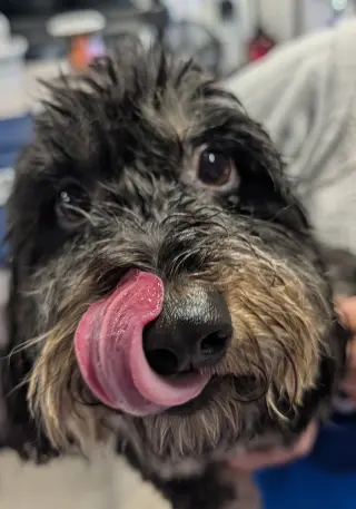 Otto in TN