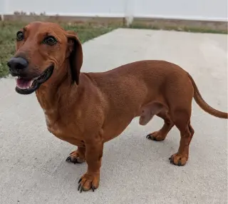 Winston in LA