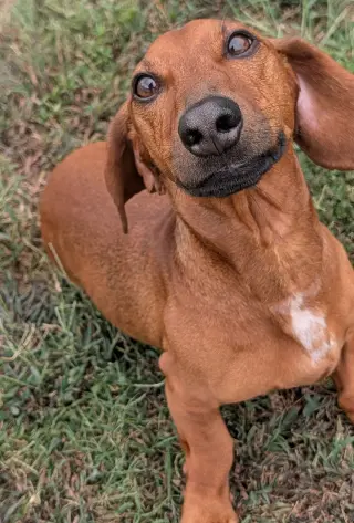 Winston in LA