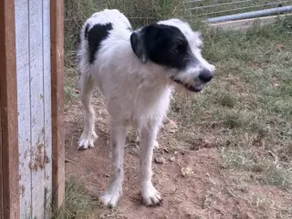 Lucy