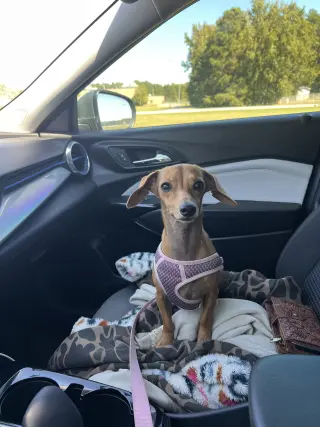 Millie