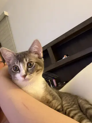 Dobby & Kreacher (Courtesy Post)