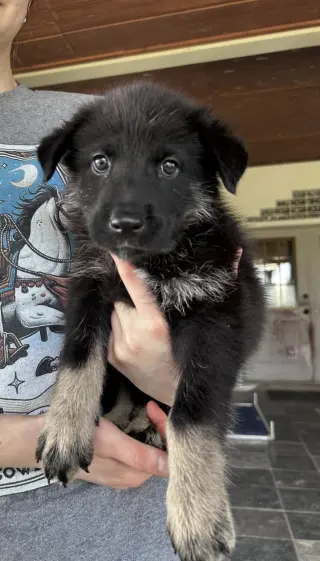 *Katya