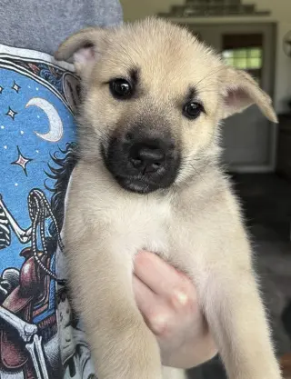 *Sasha