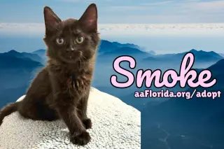 Smoke