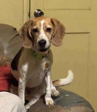 Peetie