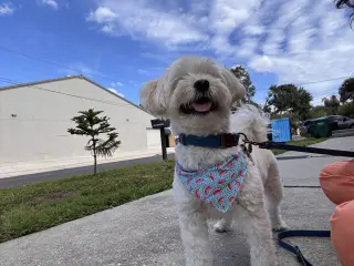 Winky FH