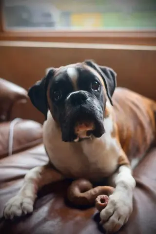 Billy