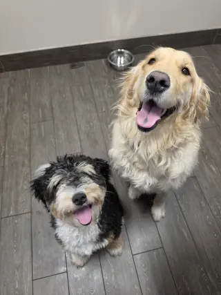 LILO