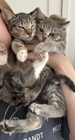 Louisianna (bonded w/ Thelmabelle)