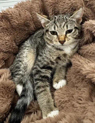 Thelmabelle (bonded w/ Louisianna)