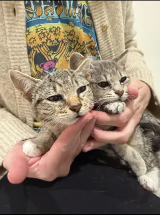 Thelmabelle (bonded w/ Louisianna)