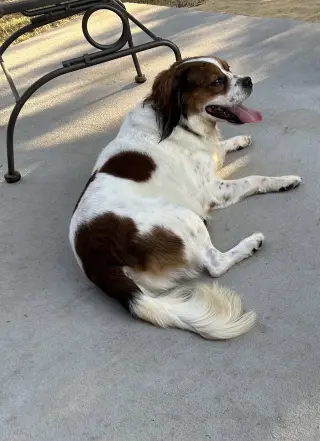 Wilbur