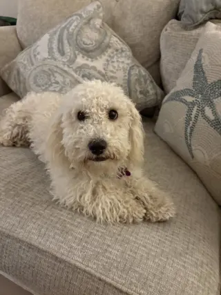 Lucy