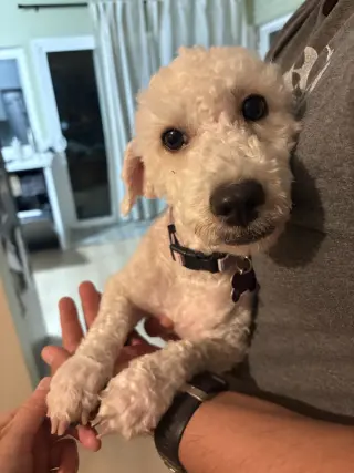Lucy