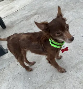 Jude