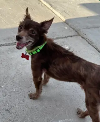 Jude