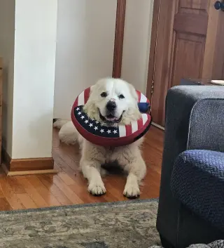 Goliath