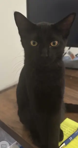 Charley