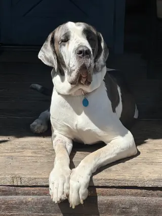Betty