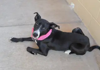 Potion (In Foster)