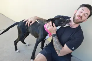 Potion (In Foster)
