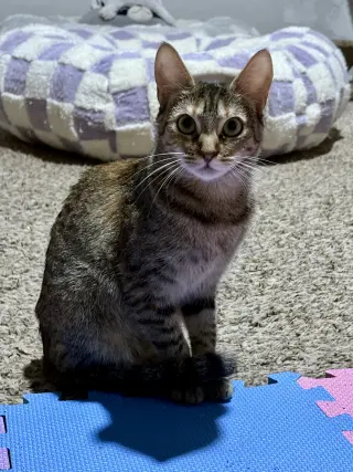 Sally