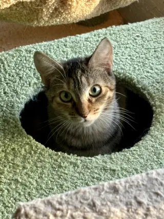 Sally