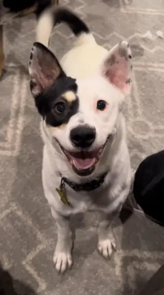 Ms. Willow