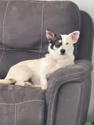 Ms. Willow