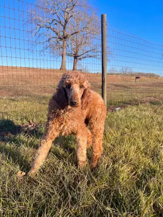 Lucy OH Jan 24