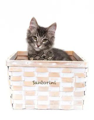 Santorini