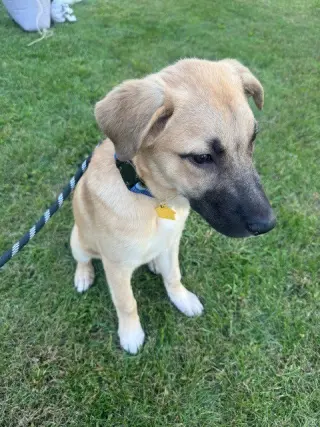 Charlie