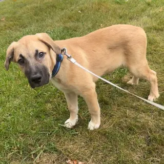 Charlie