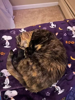 Bonnie