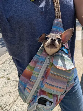 Astro